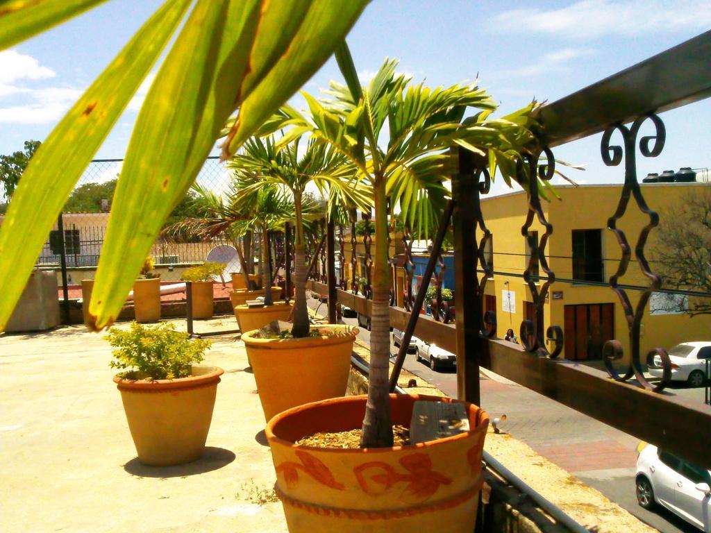 Posada De Xochitl - Centro Oaxaca Exteriér fotografie